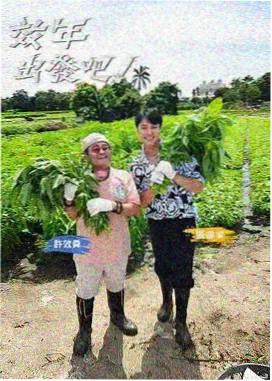 回声实验 心理悬疑电影海报